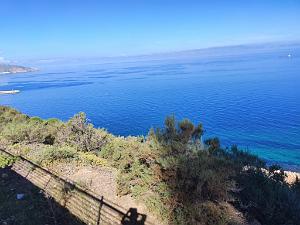 VOYAGE 20230928_102516  ORAN C'ETAIT LES GENETS